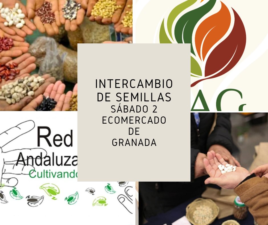 Recuerda, mañana hay intercambio de semillas en el Ecomercado de Granada. Estaremos de 9,30 a 2,00. Trae tus semillas!!!