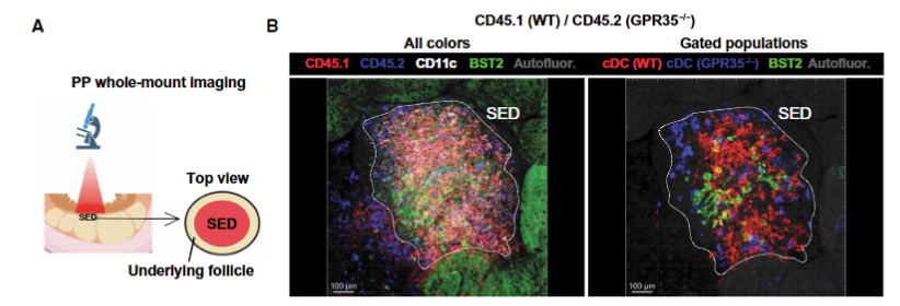 Waggoner Lab tweet media