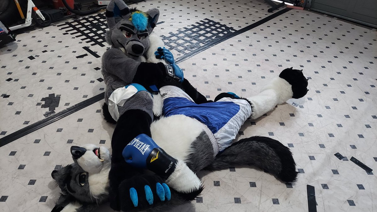 Just doing some stretches… 🩹💢

#FursuitFriday 
<a href="/Cobaltthewuff/">A Public Embarrassment @MFF 2024! 🐺</a>