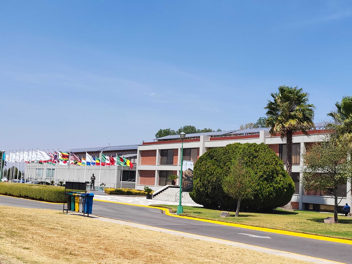 dataverseorg's tweet image. #Dataverse2024 
A Beautiful campus awaits your safe arrival @CIMMYT 

#community #openscience #software