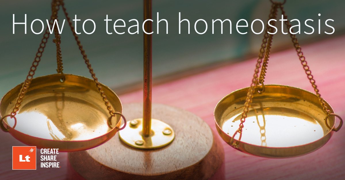 Stuck on how to teach homeostasis? @ADInstruments did the research for you. ⚖️ Discover 7 ways to teach homeostasis in your physiology course and make teaching simple this year. adi.to/teach-homeosta…'