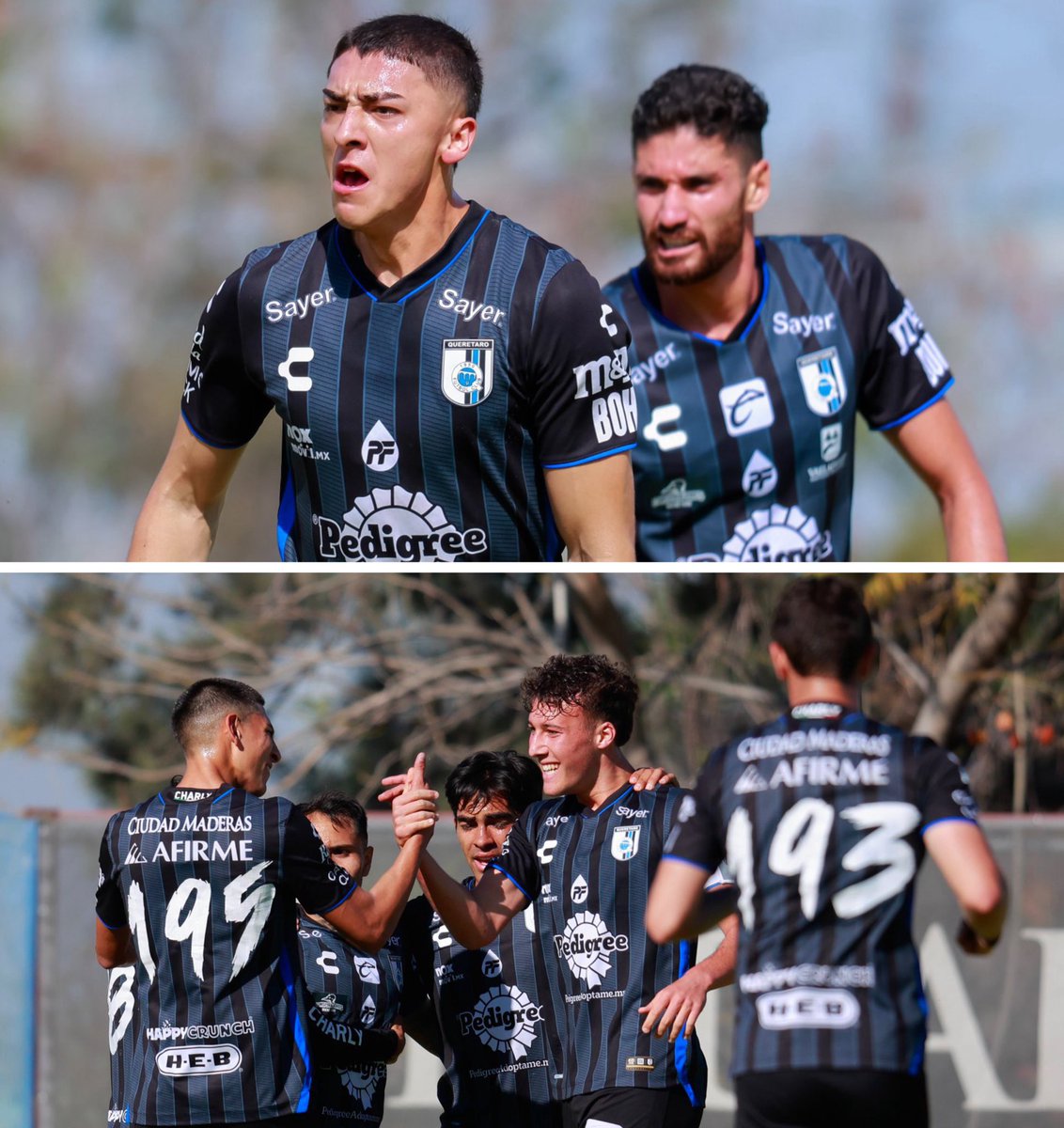 GOLEADA DE GALLOS! 🐔🔥 
#sub23 🐓 5-1 👼🏻

Queretaro salió on fire y superó a Santos con anotaciones de Carlo Soldati, Leonardo Vargas (2), Paolo Yrizar y Diego Martinez