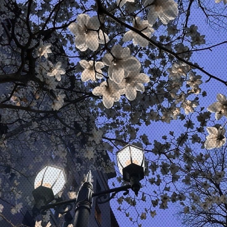 ᅠᅠ
 ᅠᅠ𝚏azendo  como  os  mais  jovens  e
⠀⠀⠀ postando  algumas  fotos  . 
⠀⠀⠀