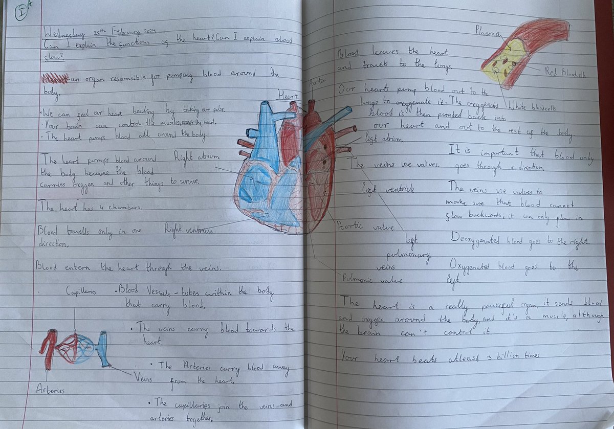 @FossdeneSchool @WhiteRoseEd Year 6 have been learning about the circulatory system