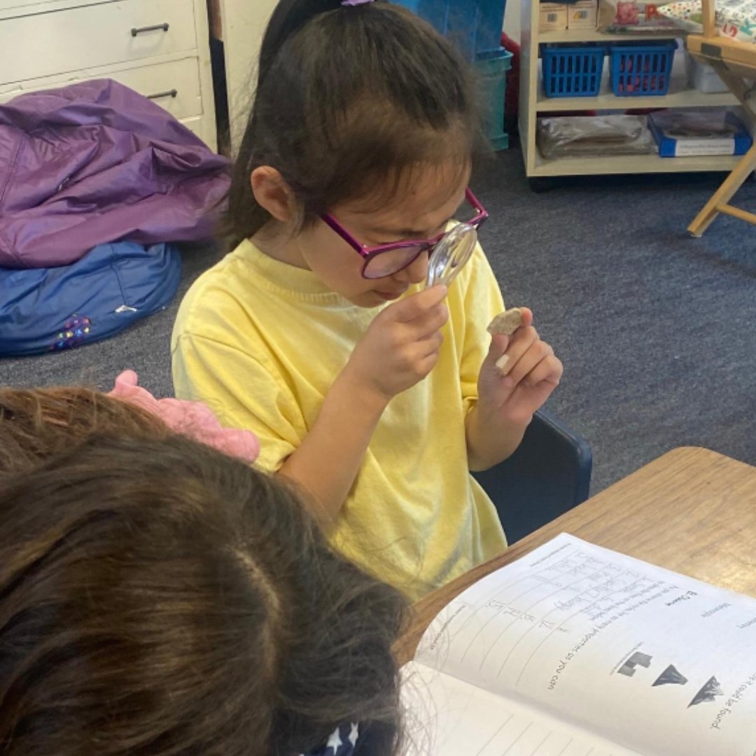 LMDLions's tweet photo. Second Grade Geologists Geologists are studying the properties of igneous, metamorphic, and sedimentary rocks. #LMDLionPride #LMSVHeart https://t.co/ADjThbR42V