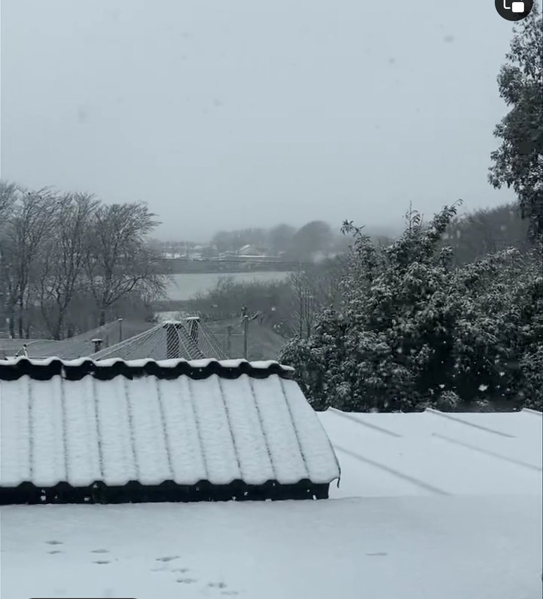 Lisa Mackenzie tweet media