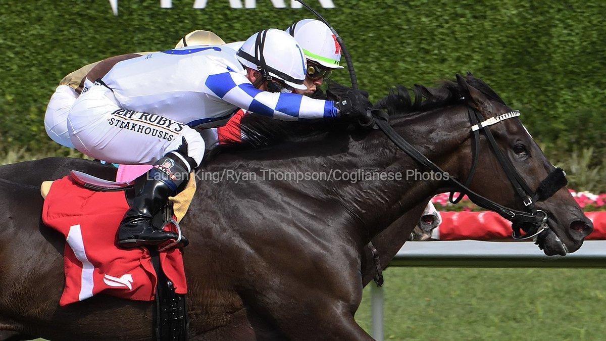 The red and silver <a href="/Americanequus/">American Equus</a> racing irons of Javier Castellano #Venezuela, luxury crafted and engineered for performance!

Buy yours at AmericanEquus.com