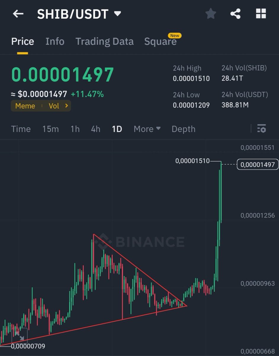 ShibalnuNews's tweet image. #SHIB is gathering strength for a new rise. The next target is $0.0001!🚀