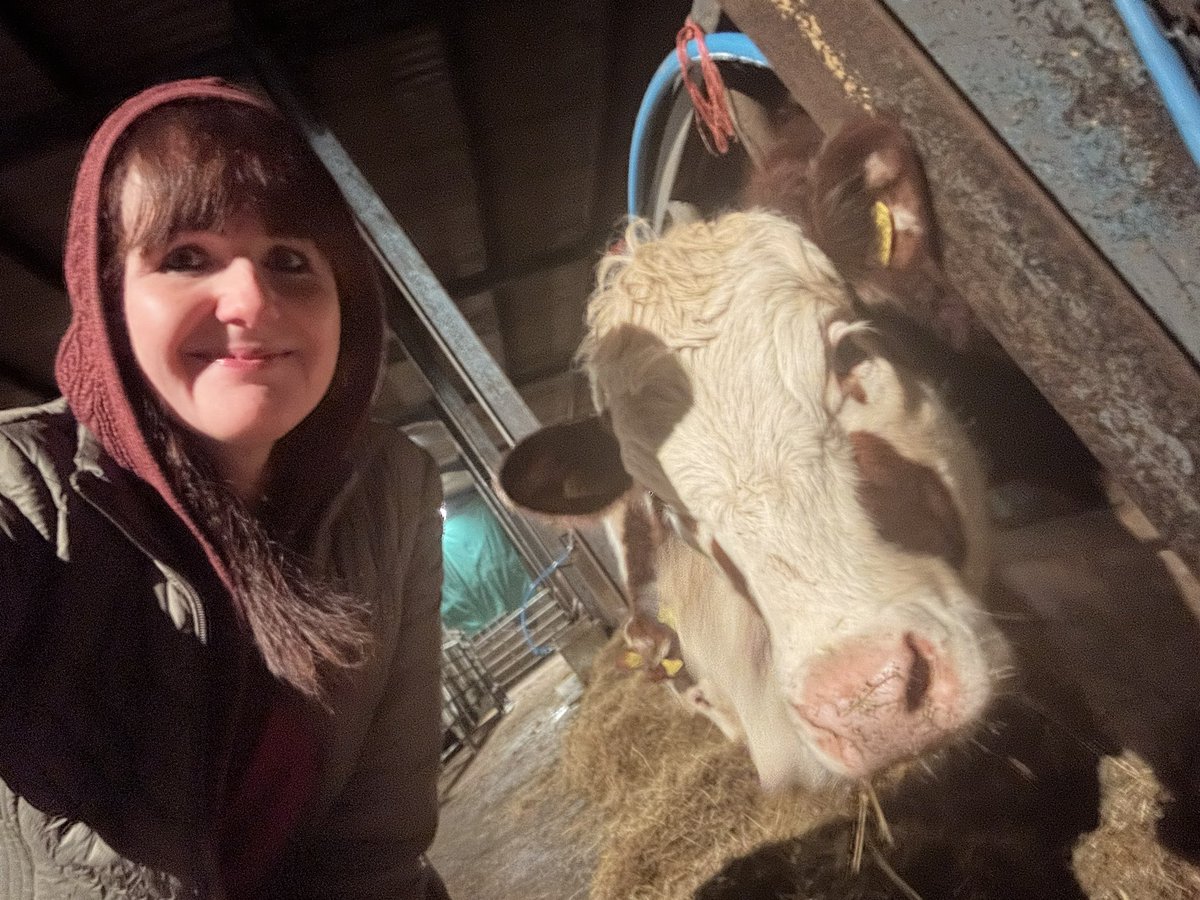 bernardsfarmuk's tweet photo. Another busy week done. So glad itโs the weekend & time to relax (Ha Haaaaa!) ๐ฅฑ ๐ ๐ฉโ๐พ ๐ช
#Cows #Herefords #EatSleepFarmRepeat #TenantFarmer #FirstGenerationFarmer #UplandFarming #Ma https://t.co/pafP9OhRdP