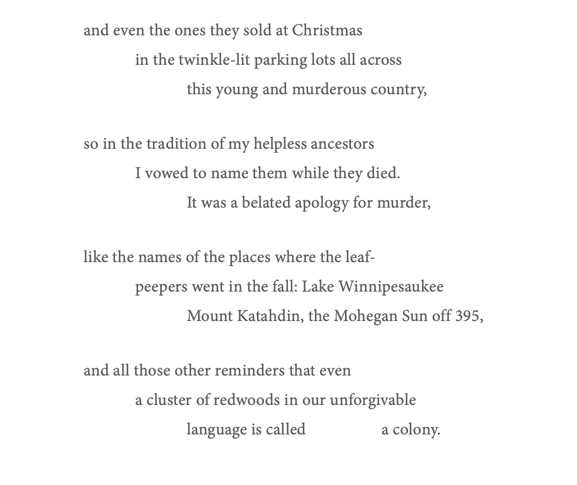 I downloaded a tree app and it filled me with dread. Thank you to the editors <a href="/PassagesNorth/">Passages North</a> for giving a home to this, my first published poem. 

passagesnorth.com/passagesnorthc…