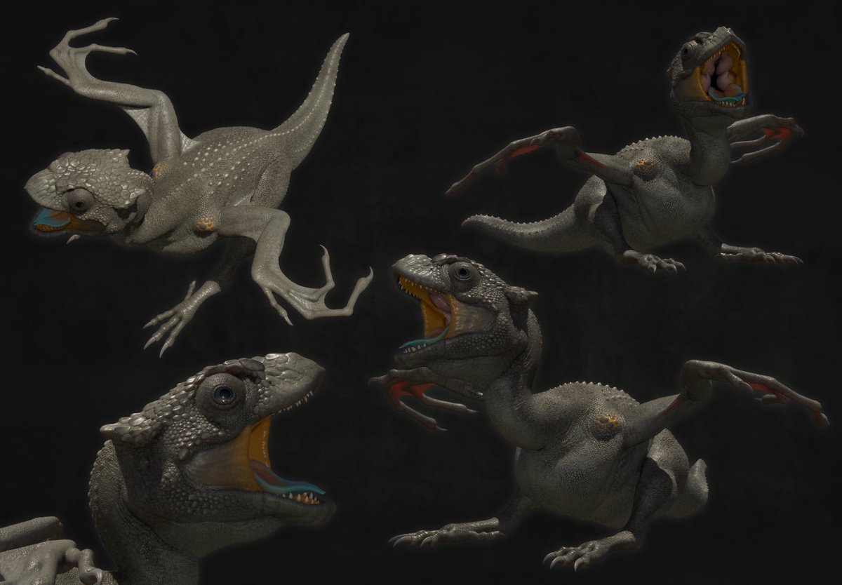 サイチョウの日今思えばこれまで描いてきたワイバーンのほとんどがサイチョウ参考に」nao70sharkのイラスト