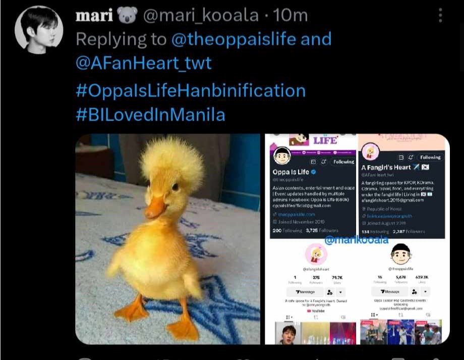 theoppaislife's tweet photo. Hi!!! Thank you everyone for joining!
Congratulations @hanbinniefied and
@mari_kooala! You are seeing B.I on Monday! π
Will message you details today or tomorrow.
#OppaIsLifeHanbinification #BILovedInManila https://t.co/36gKB2FQuD
