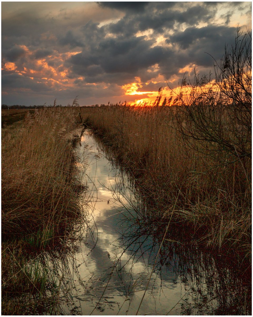 Wicken Fen sunset. Wicken Fen sunset. #landscapephotography #landscape #leicaq3 #leicaphotography #landscape #uklandscape @elyphotographic @leicauk #sunset #wickenfen