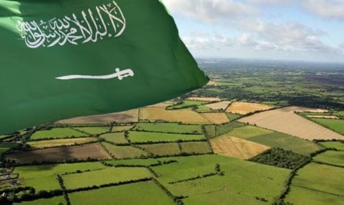 TRAVIS | تراڤس tweet media