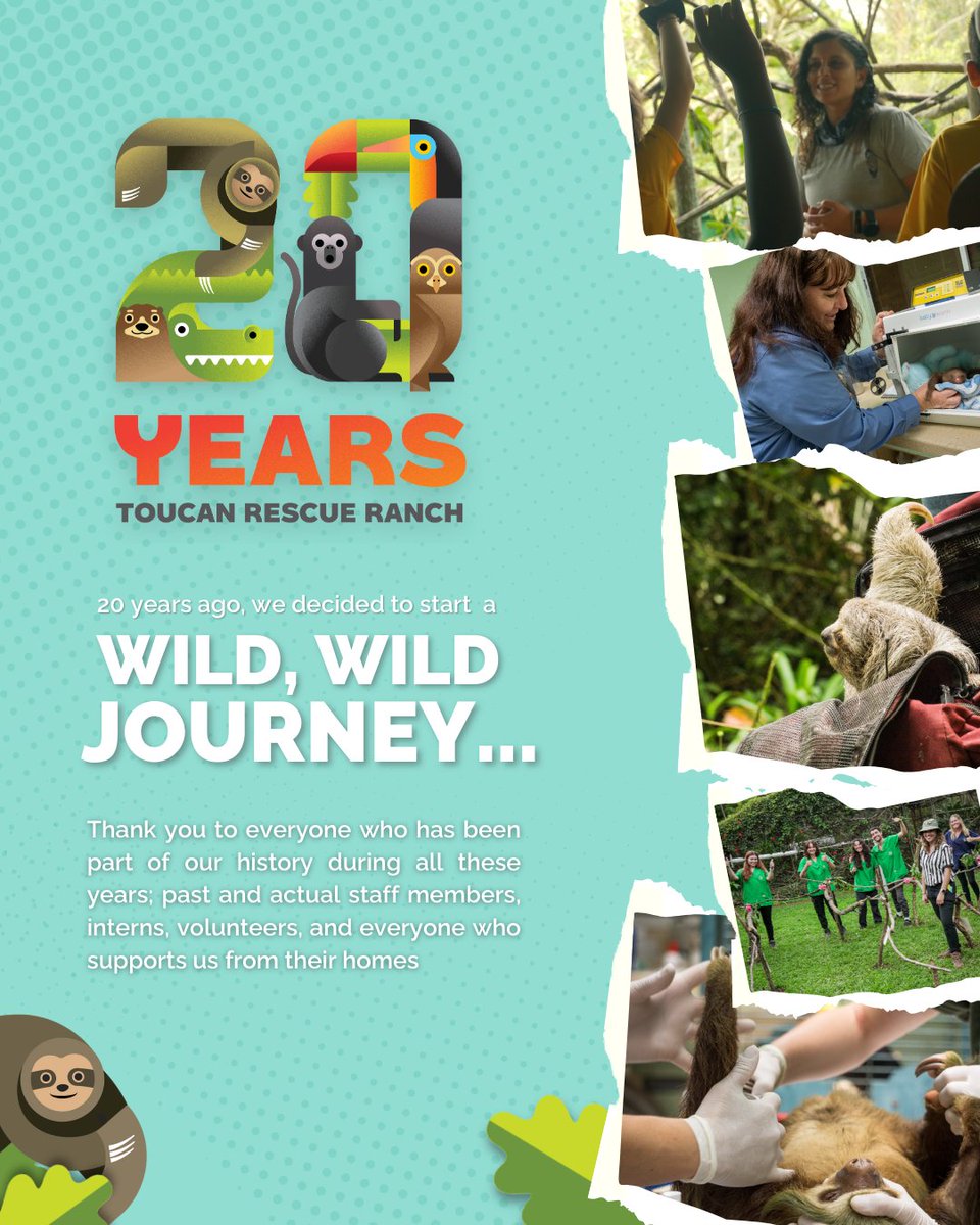 ⭐ Celebrating 20 years of wildlife rescue and rehabilitation! Thank you to everyone who has supported us along the way. Here's to many more years of educating, rescuing, and rehabilitating wildlife.

🍸 Join us at our Gala in Nashville to celebrate it: bit.ly/WildlifeWonder…