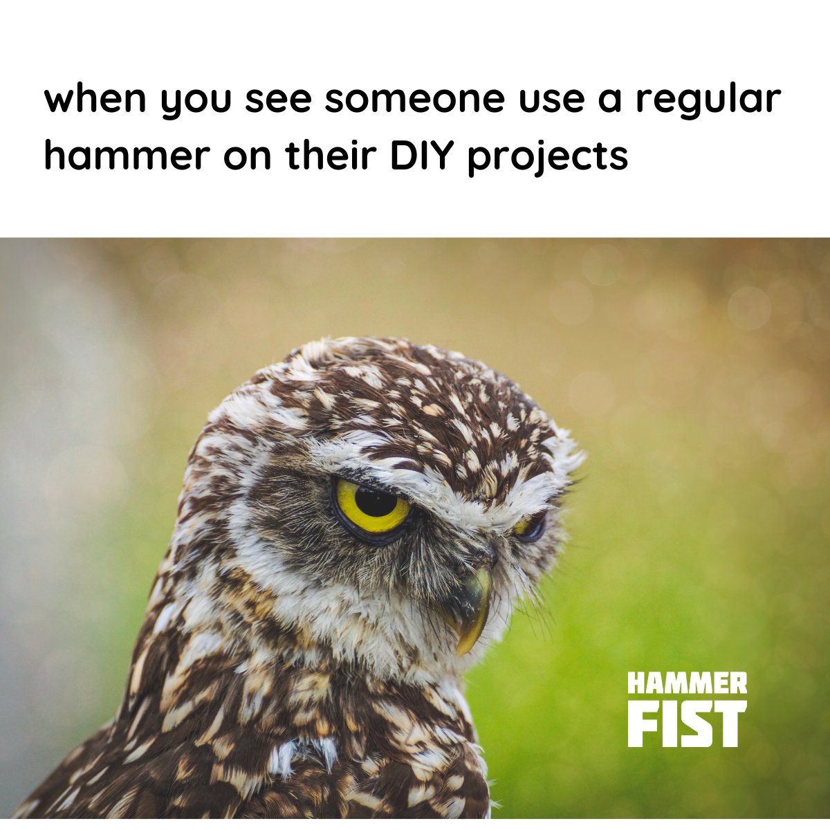 Hammerfist tweet media