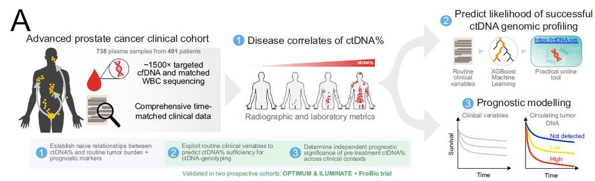 Our latest on ctDNA% in mCRPC in @NatureComms: we affirm the independent strong prognostic implications & present a tool for predicting pre-blood draw whether ctDNA% is sufficiently high for genomic biomarker testing (e.g. BRCA2). Thread 👇. 1/n nature.com/articles/s4146…