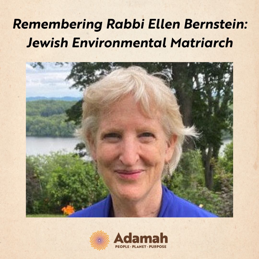 The Jewish-environmental movement has lost one of its earliest founders — Ellen Bernstein, the visionary author, rabbi, cultural worker and organizer, transitioned from this world earlier this week. Read more about Rabbi Bernstein on our blog:buff.ly/49VLT6k