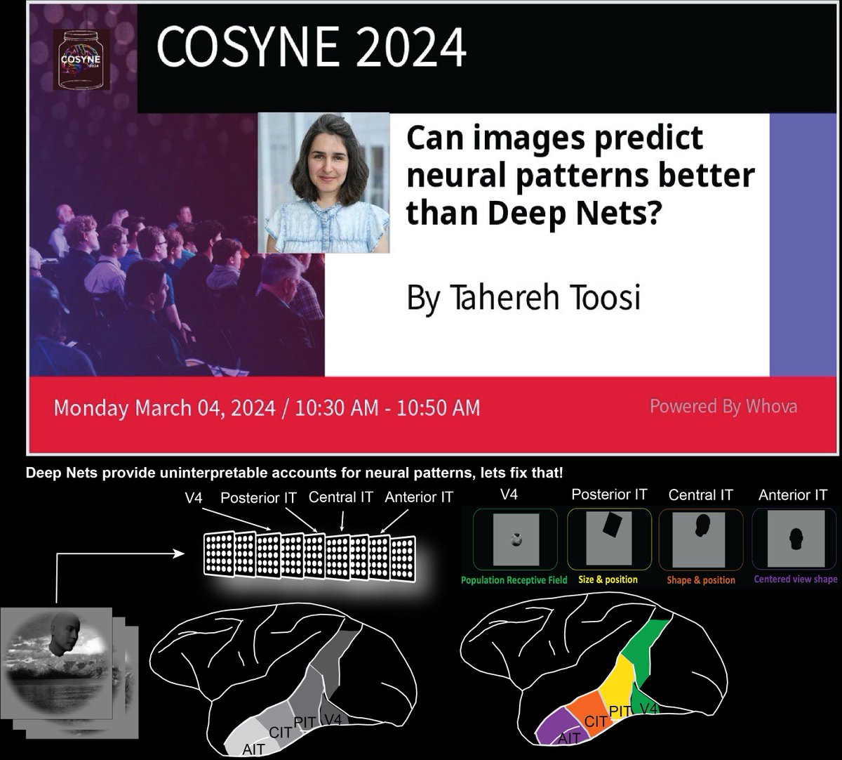 Tahereh Toosi (@taherehtoosi) on Twitter photo I'll be speaking about how to gain insights into the inner workings of the primate visual cortex through interpretable encoding features at the 'I Can't Believe It's Not Better' workshop, organized by <a href="/ItsNeuronal/">Alex Williams</a> and Cristina Savin <a href="/CosyneMeeting/">CosyneMeeting</a> #Cosyne2024. I'll be speaking about how to gain insights into the inner workings of the primate visual cortex through interpretable encoding features at the 'I Can't Believe It's Not Better' workshop, organized by <a href="/ItsNeuronal/">Alex Williams</a> and Cristina Savin <a href="/CosyneMeeting/">CosyneMeeting</a> #Cosyne2024.