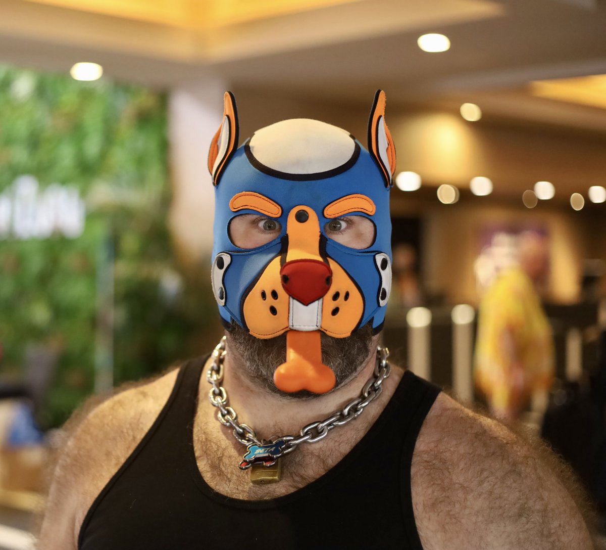 GazBearington 🔜 LVFC, Smokeout! tweet media