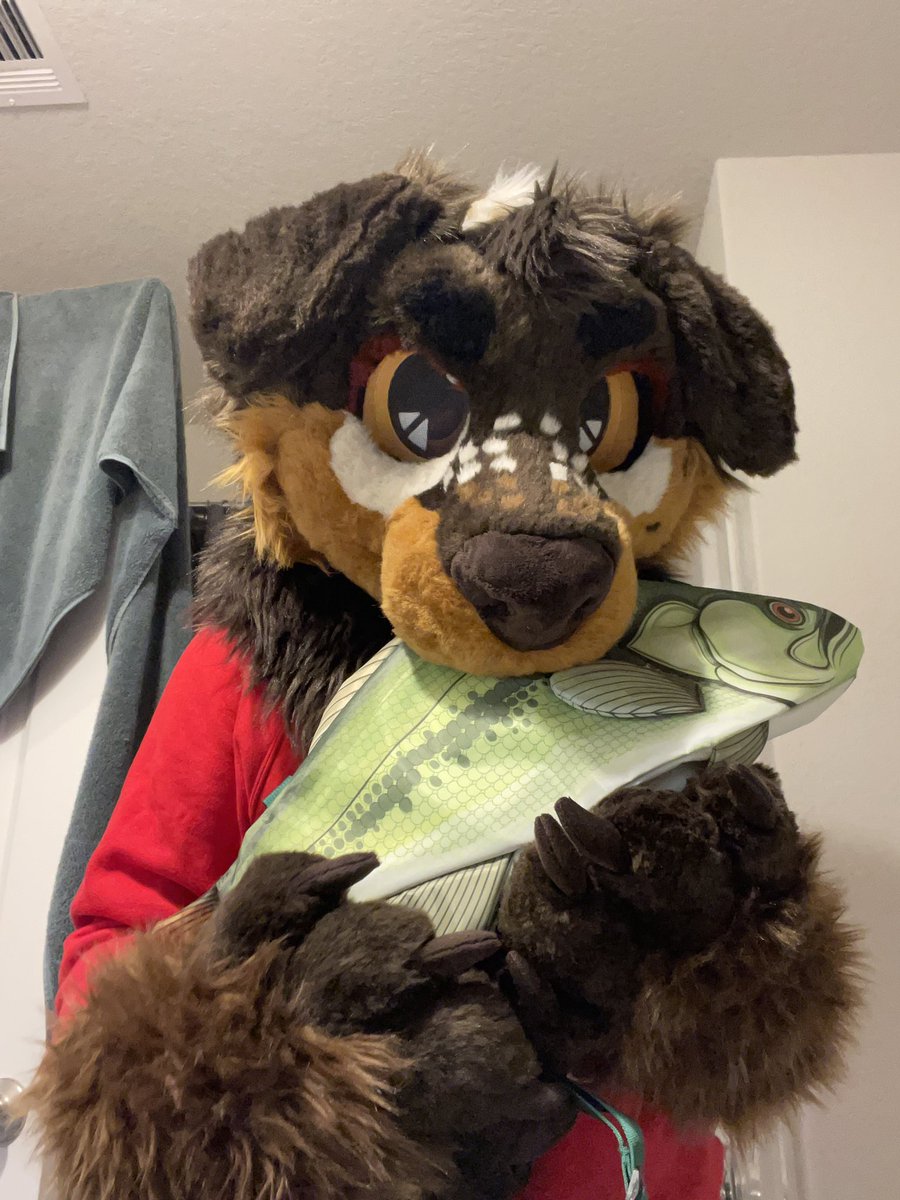 seein ppl talk about TFF made me think about going but. it’s a long drive by myself and idrk ppl enough. still bought this fishbag id use to carry my things if i ever go to a con one day