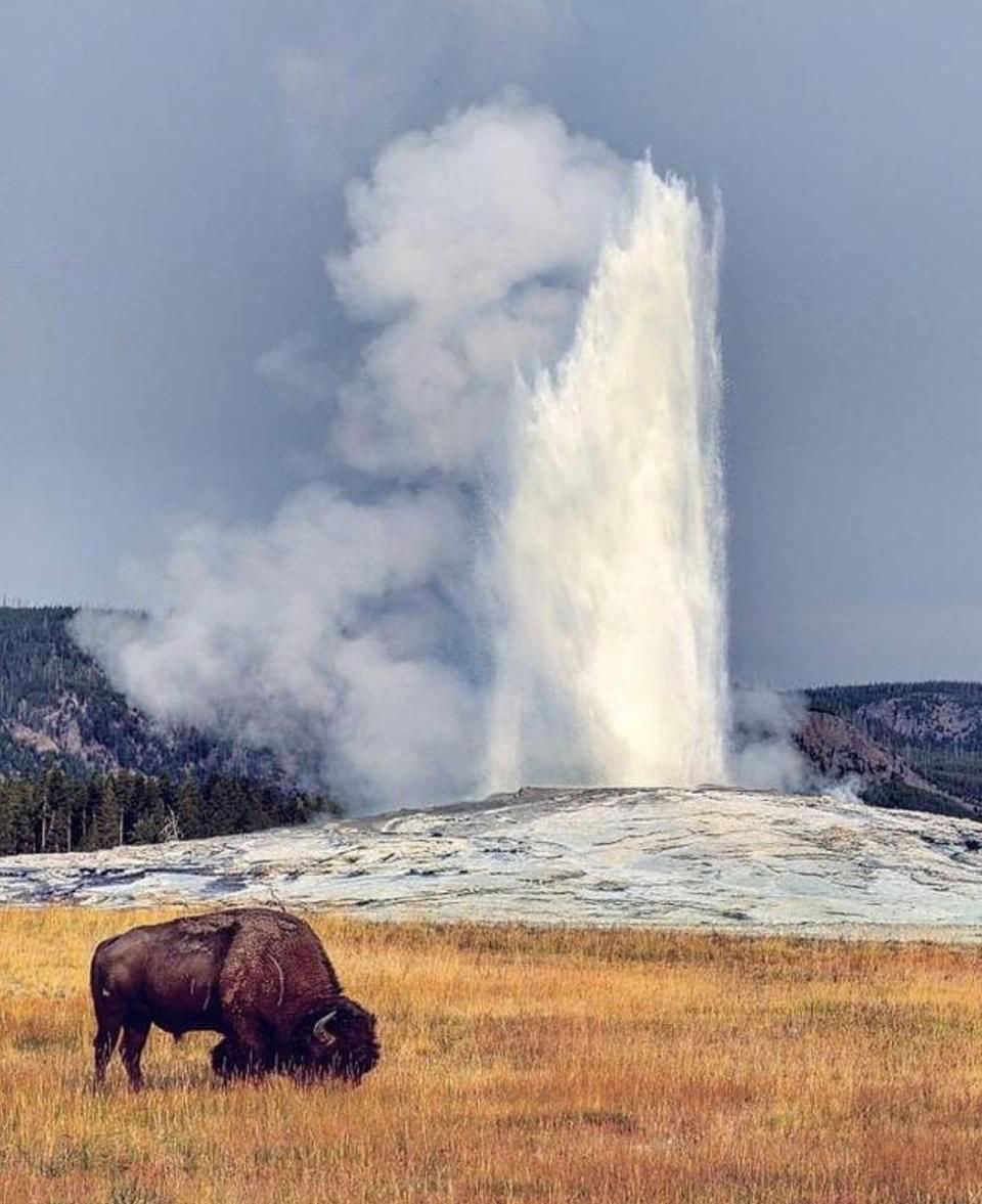 March 1, 1872: Yellowstone was established as America's first national park by President Grant, spanning over 2.2 million acres across Wyoming, Montana, and Idaho. The park is famous for its unique geothermal wonders like Old Faithful geyser and the vast Yellowstone Caldera. It