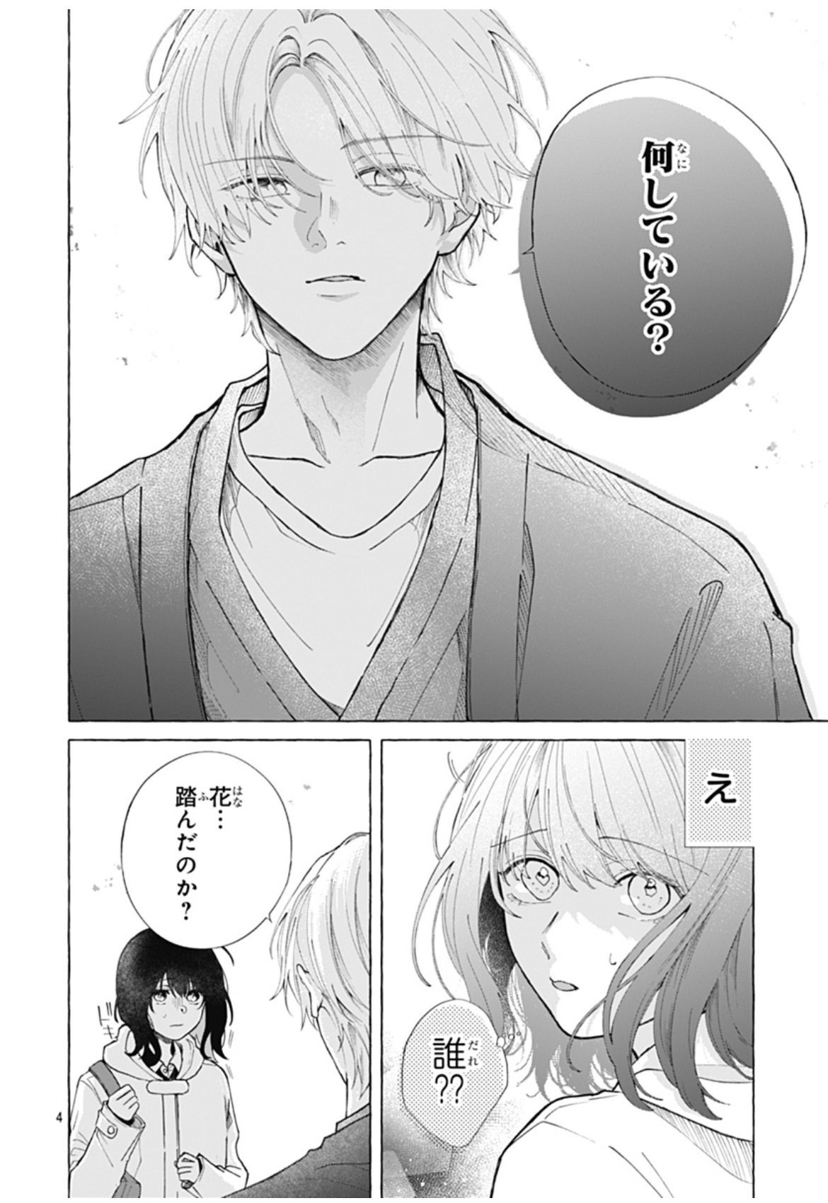 せんようマーガレット様 2652947_l.jpg