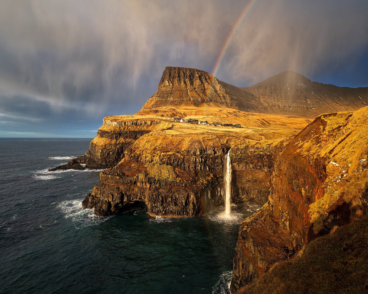 Felix 📷 tweet media