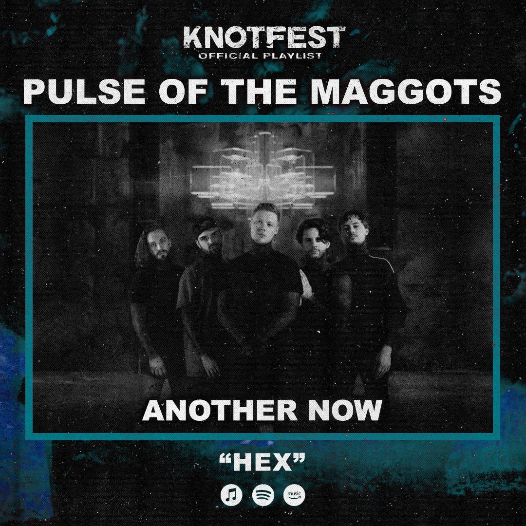 ⚡️PULSE OF THE MAGGOTS PLAYLIST⚡️ This week: Dool, Domain, @lifesquestionhc, @AnotherNowBand and more bit.ly/3uJolm3