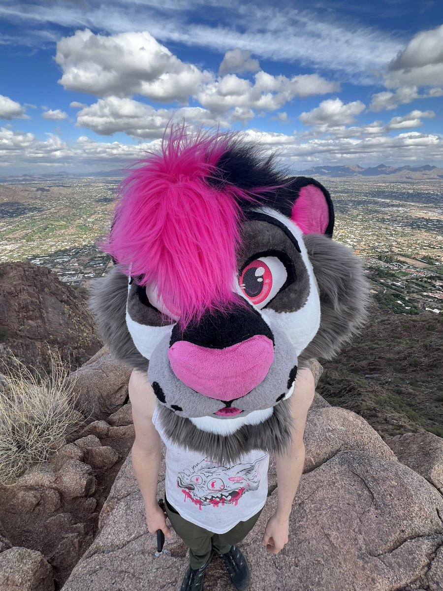 LeoSabertooth's tweet image. Ahhh,,, nature,
WAIT, THE HELL IS THIS THING DOING IN MY FRAME?!?!
Move stinky!
#๏ธโฃ: #FursuitFriday
๐ชก: @WildFoxWorks
๐ธ: @Streak_er