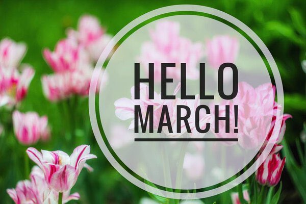 Happy March!! 💐