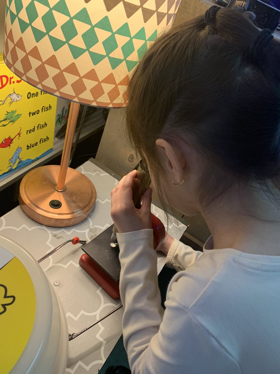 PresleyFarm's tweet photo. After watching Horton Hears a Who, we looked for our own speck of dust and looked at it under a microscope. #buzzworthy @howell_stem @howellprincipal https://t.co/XUUfIVEa9D