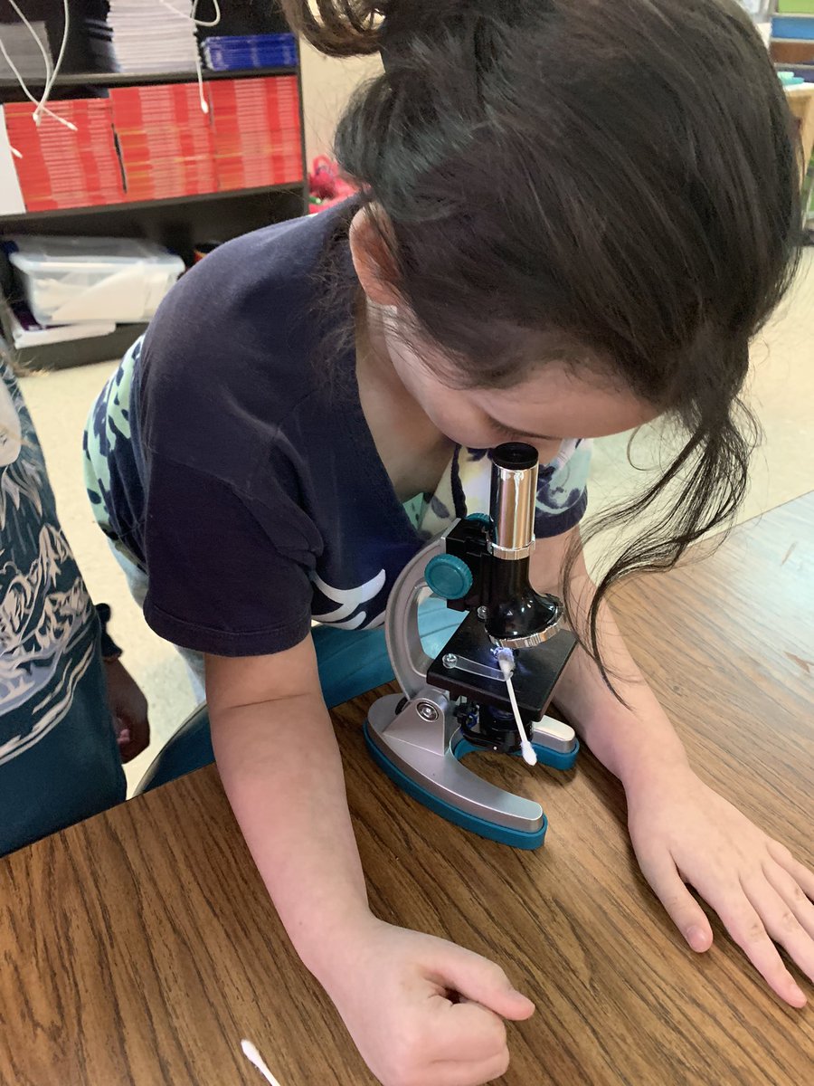 PresleyFarm's tweet photo. After watching Horton Hears a Who, we looked for our own speck of dust and looked at it under a microscope. #buzzworthy @howell_stem @howellprincipal https://t.co/XUUfIVEa9D
