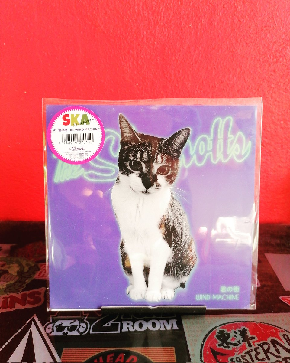 Excelente banda <a href="/TheSkamotts/">TheSKAMOTTS</a> 
🐈 🇯🇵

#君の街
#windmachine
#theskamotts
#ねこだまし
#Playwright
#skajapan
#asianska
#7inchvinyl