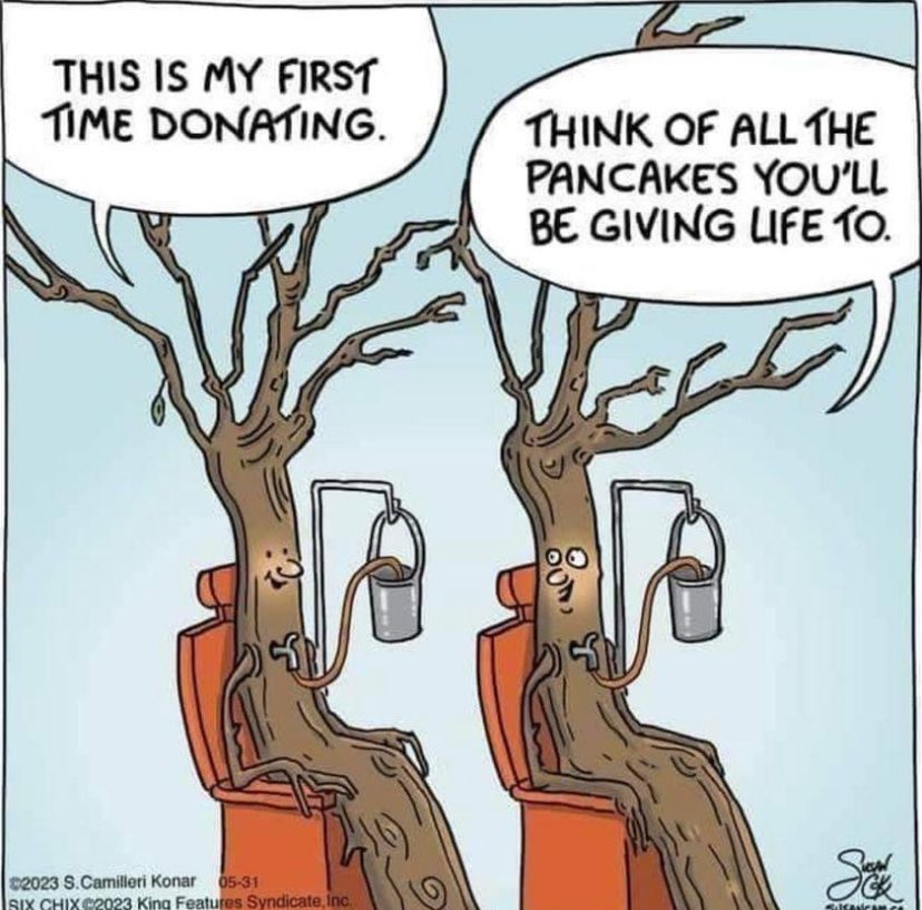 Kennedy_Farms's tweet photo. #Maple2024 https://t.co/yVicm10Fe7