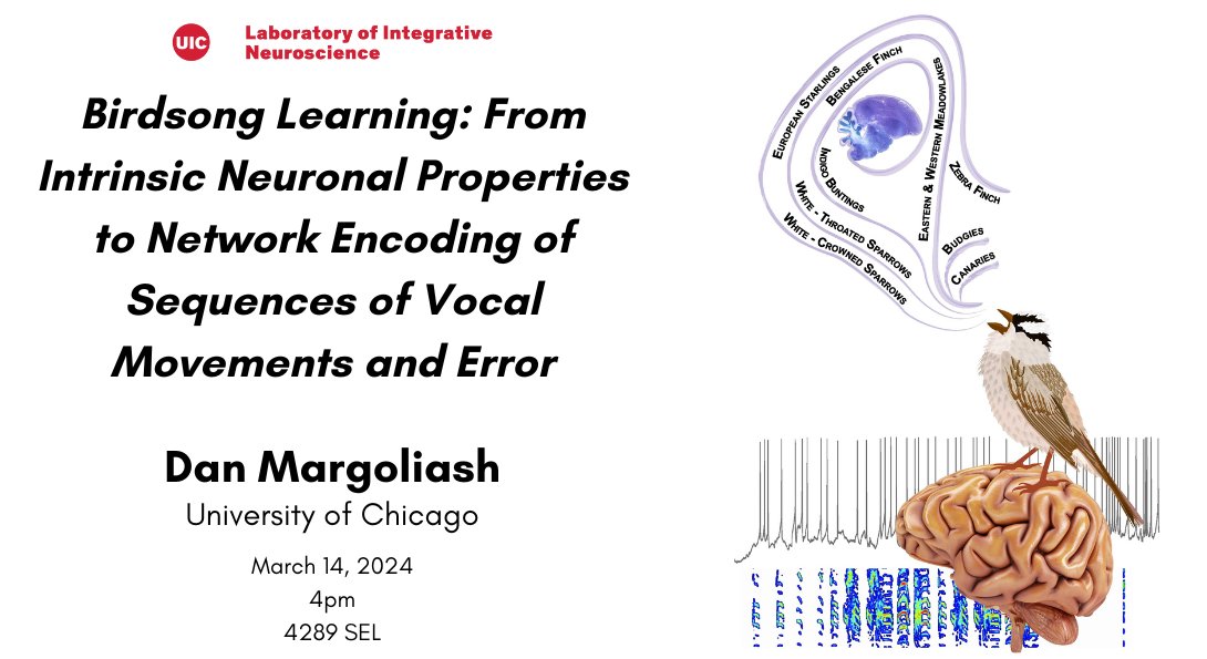 Join us Thursday, March 14th for a #LINSeminar featuring Dr. Dan Margoliash (University of Chicago)!
lin.uic.edu/events/lin-sem…