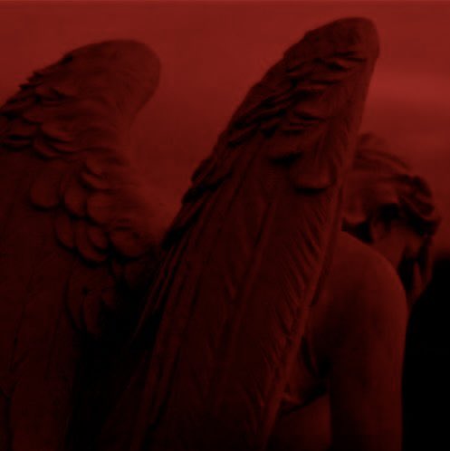 Roach 𓆣 tweet media