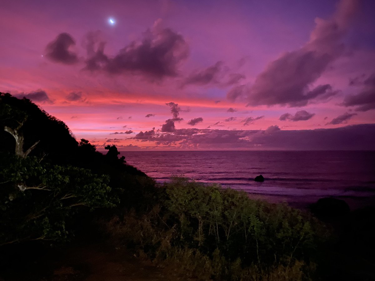 New tenure track Asst Prof position at the University of Guam Marine Laboratory

Vertebrate Morphologist

uog.edu/_resources/fil…