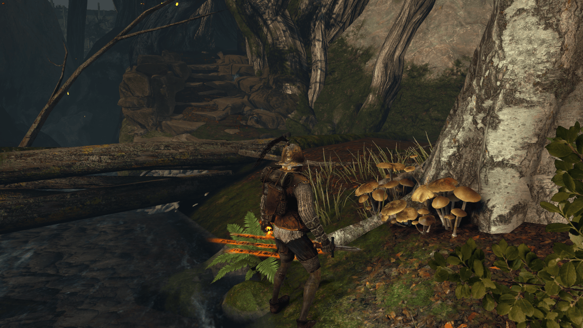 Rockmih's tweet photo. mmm i wonder if you cant eat those 🤔 

@DS2LightingMod Can i have foliage pretty please? 🥺

#DarkSouls #DarkSoulsII #DarkSouls2 #ReturnToDrangleic https://t.co/S9PBMy0D6w