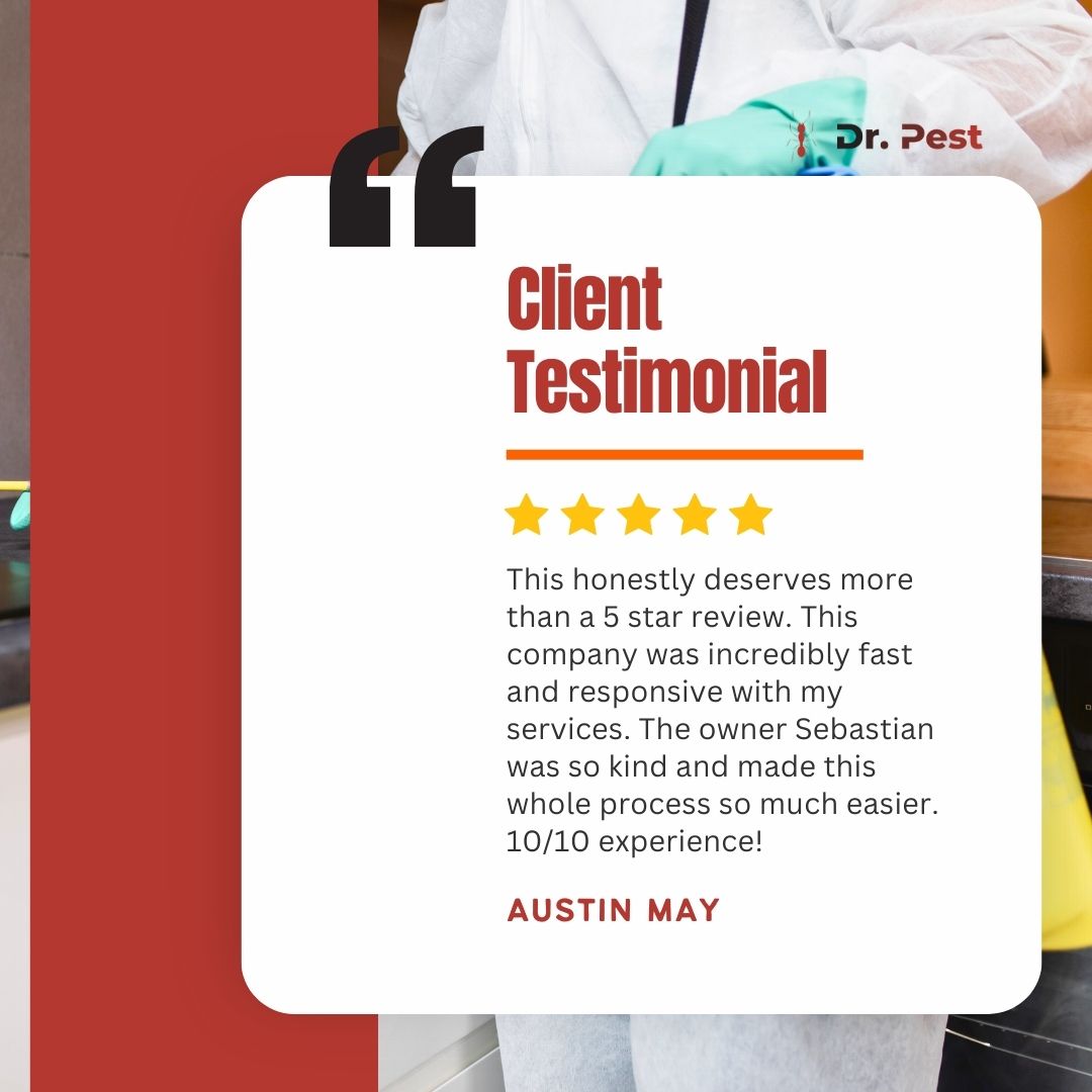 itsdoctorpest's tweet image. At Dr. Pest, we&apos;re dedicated to delivering swift, responsive service with a smile. Thank you for trusting us with your pest control needs! 

#DrPest #PestControlService #TermiteControlService #RodentControlService