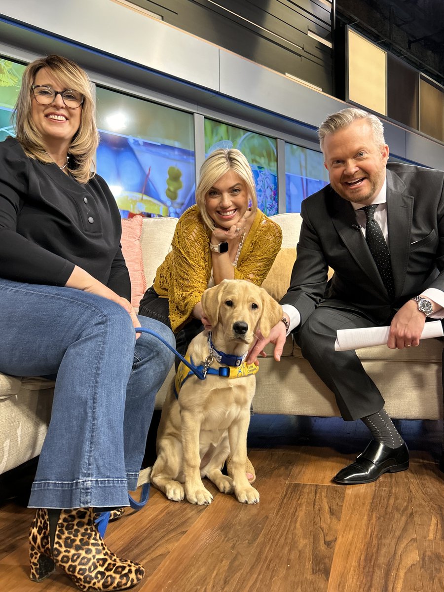 PTL PUPDATE: Little Obas is just starting out in her training, so she's working on the basics. But puppy raiser Jill has some tips on how to approach a service dog in training and their handler. WATCH HERE >> cbsloc.al/3v074VO @canineorg @KDKAHeather @DavidHighfield