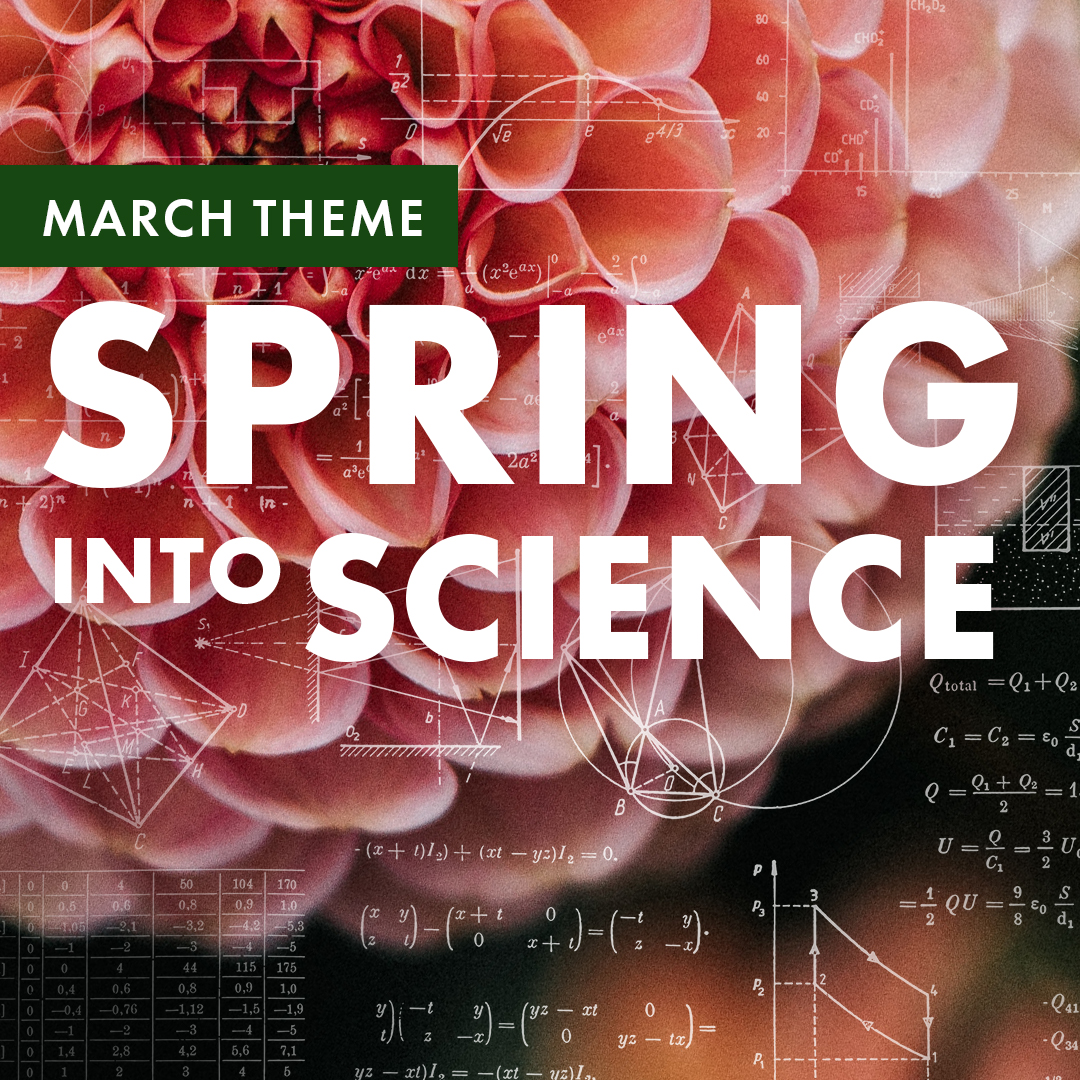 adventuresci's tweet image. March is #SpringIntoScience month at Adventure Science Center.

Check out everything we have planned at bit.ly/spring-into-sc…

Special thanks to @TVAnews and @fly_nashville for helping us bring engineering education to life last month!
