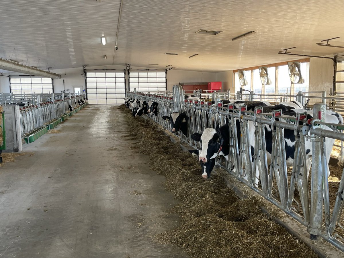 FriedRidgeDairy tweet media