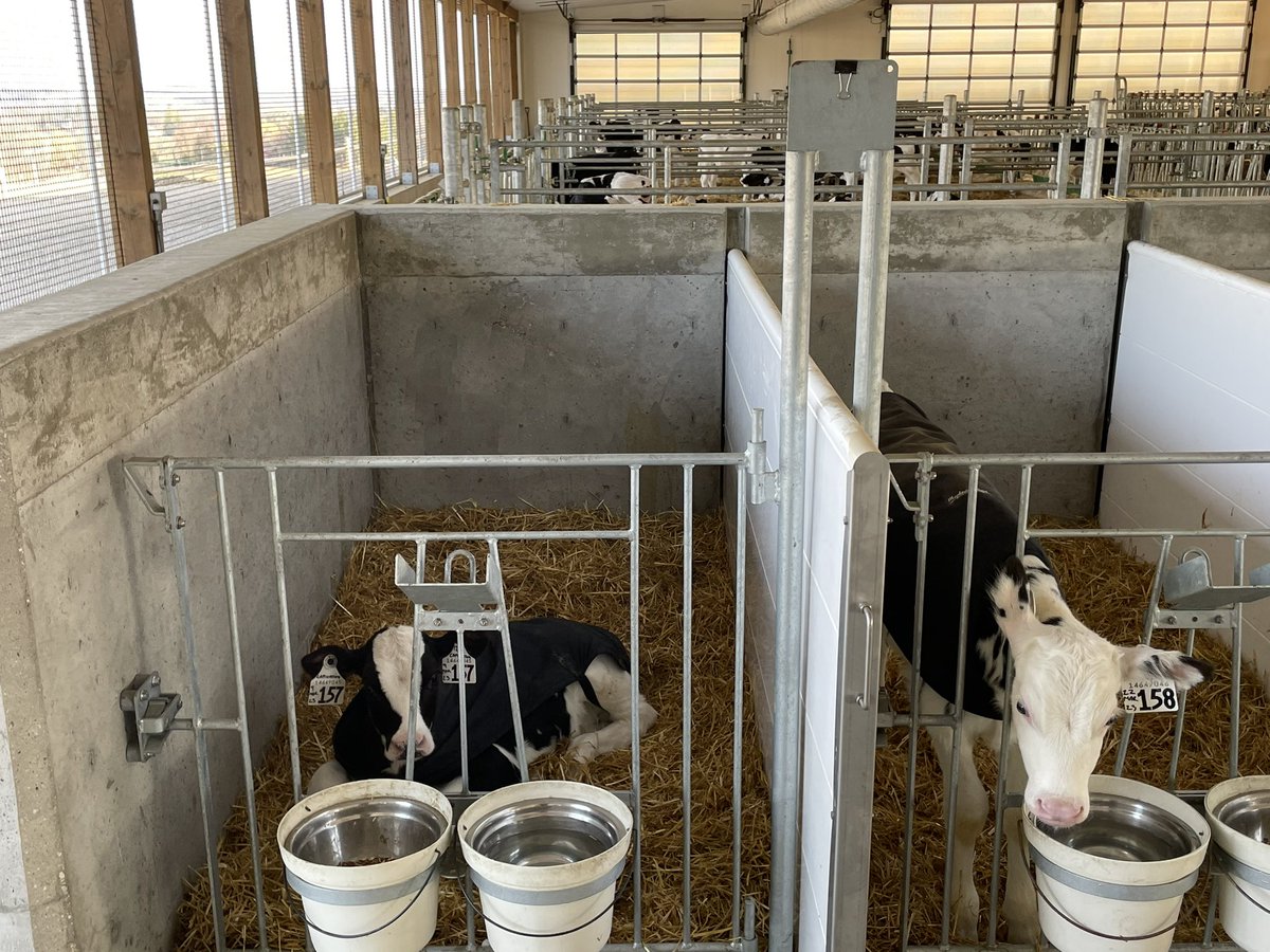 FriedRidgeDairy tweet media