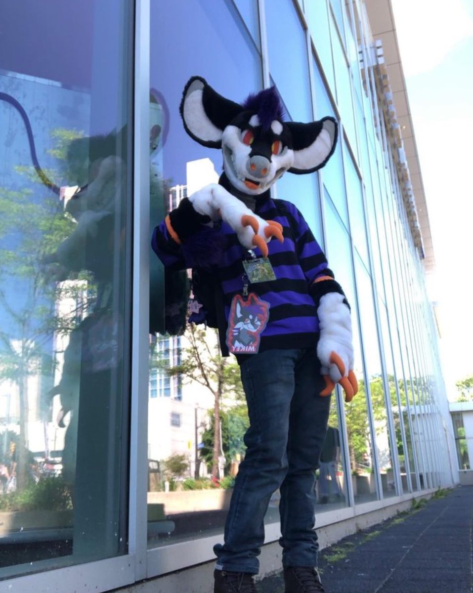 0jxe0's tweet photo. Mikey! #fursuitfriday https://t.co/77YduO4juY