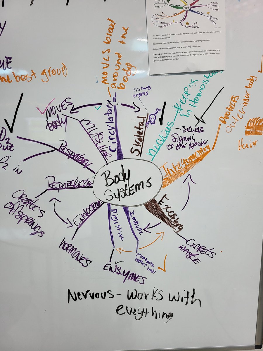 Kaitlyn Zoesch, M. Ed tweet media