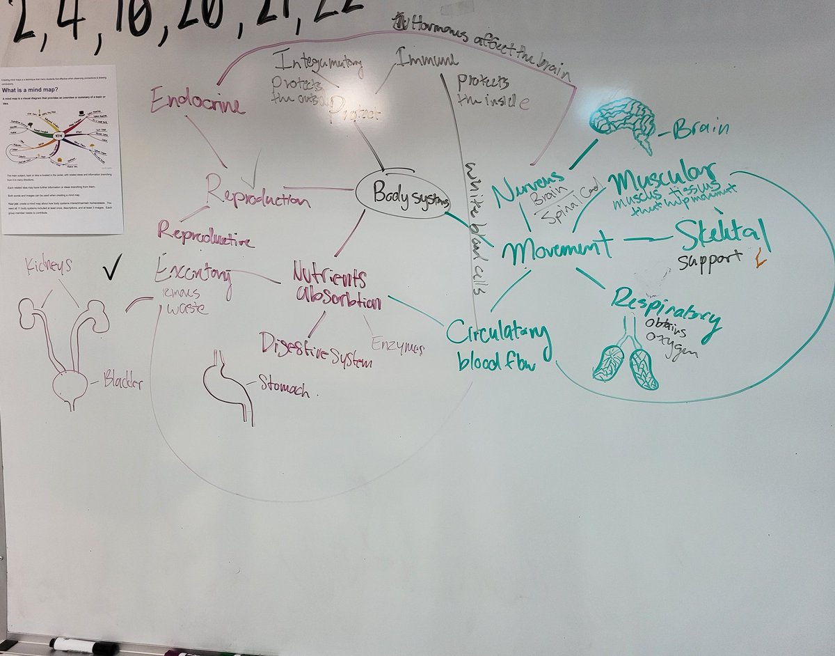 Kaitlyn Zoesch, M. Ed tweet media