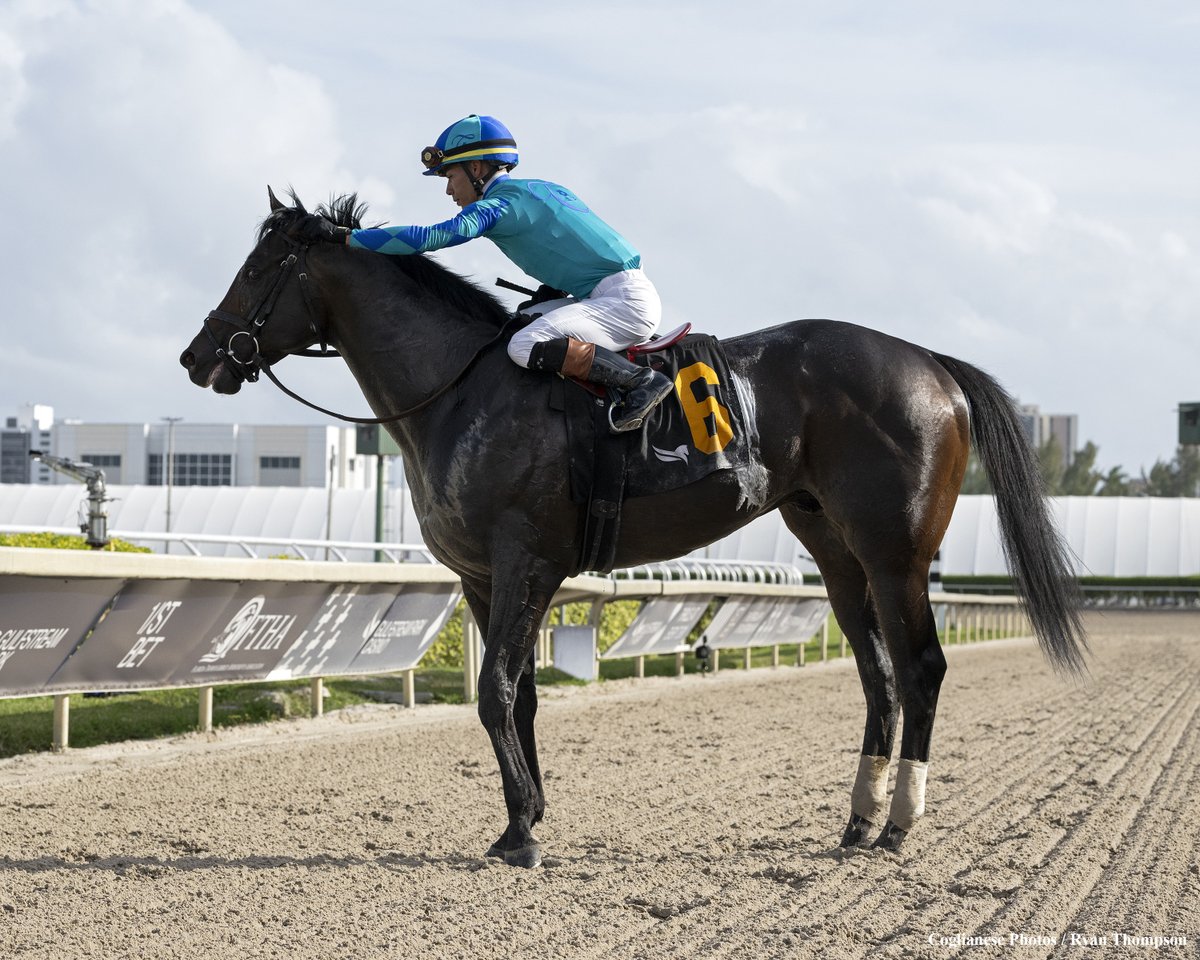 CONQUEST WARRIOR es caballo de Derby
📷<a href="/RyanFromChicago/">Ryan Thompson</a>