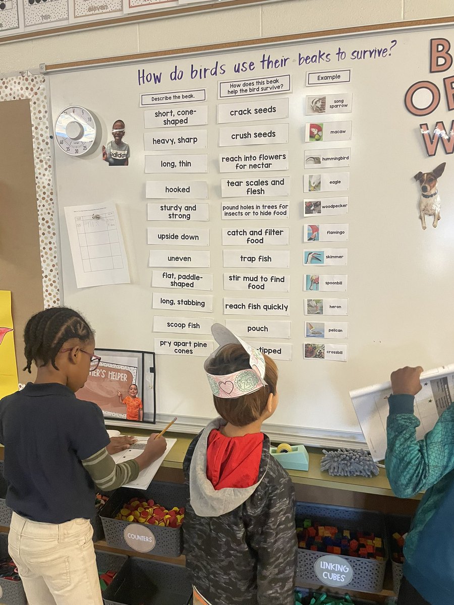 I 🩷 being in @alexiswagner98 's room! Her first graders were busy taking notes on three birds of their choice! They are 🕊️🦅🦆🦜experts! @GutermuthES @ELeducation