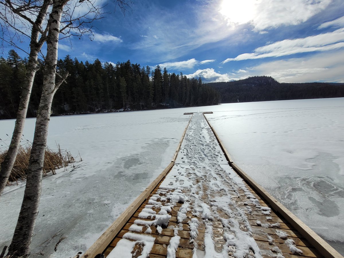 A frozen Gardom Lake near Enderby and in the lands of the Secwepemc 
@PQuinlanGlobal @jwhittalTWN @ColShuRegDist @ShuswapTrails @shuswaptourism @Splatsinfn